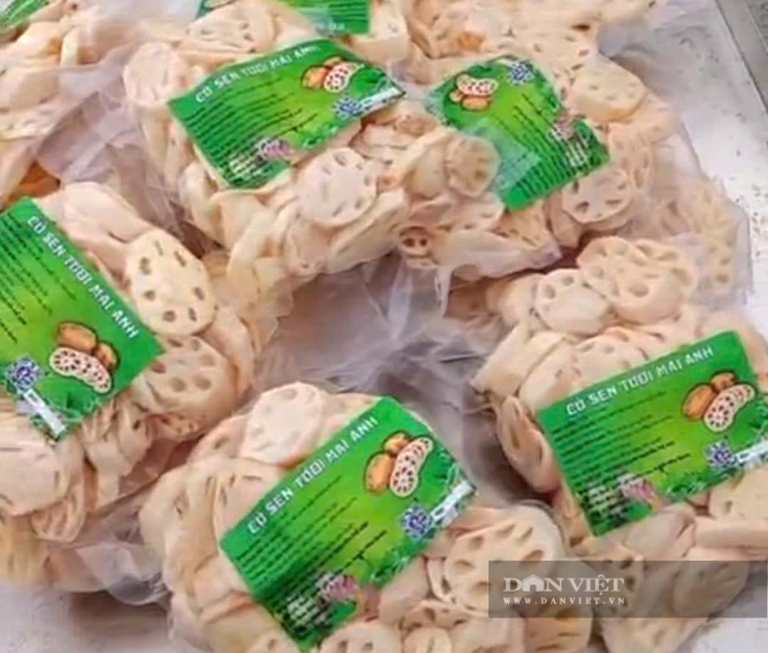  Củ sen tươi Mai Anh sản phẩm OCOP 3 sao. Ảnh: M A
