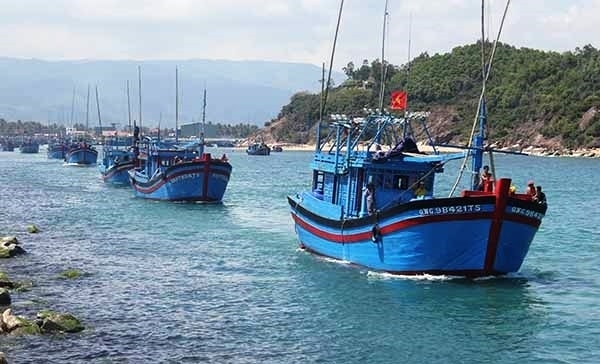  Hiện có khoảng 15.000 tàu cá chưa cập nhật đúng, đầy đủ thông tin tàu cá trên VNFishbase