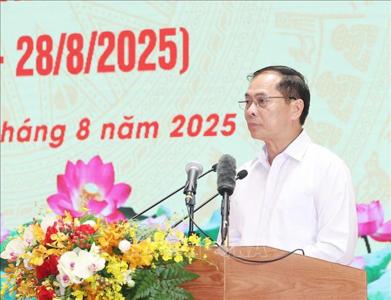  Đồng chí Bùi Thanh Sơn, Uỷ viên Trung ương Đảng, Phó Thủ tướng Chính phủ, Bộ trưởng Bộ Ngoại giao phát biểu - Ảnh: TTXVN
