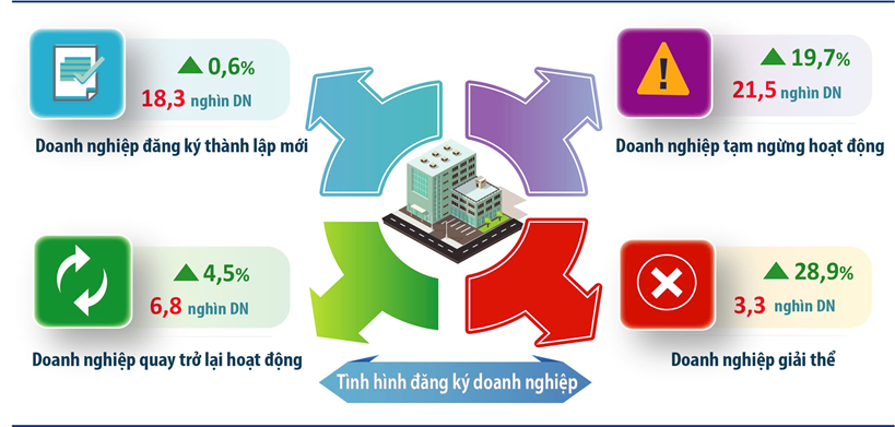  Tình hình doanh nghiệp 7 tháng năm 2025 so với cùng kỳ năm trước. Đồ họa: Thống kê thành phố Hà Nội