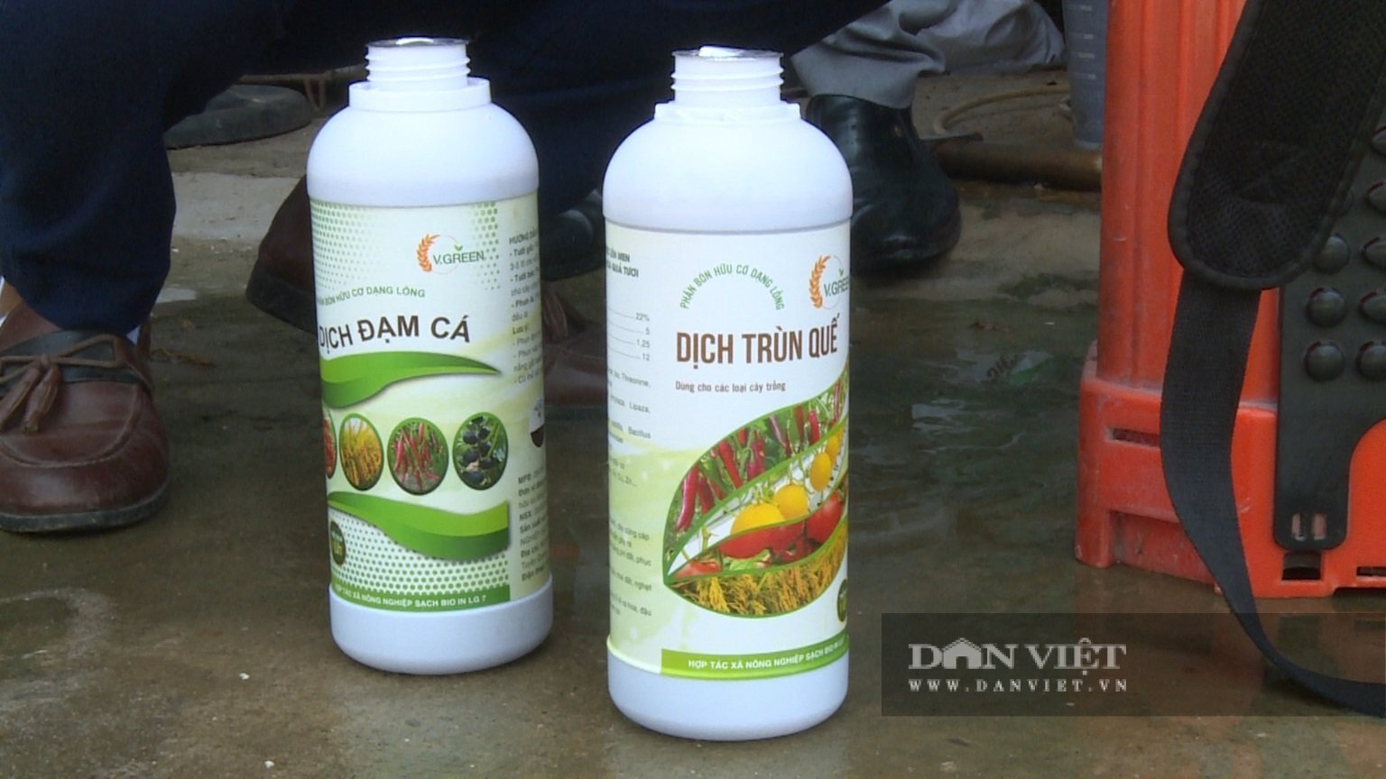  Sau nhiều ngày thử nghiệm 2 sản phẩm dịch trùn quế và dịch đạm cá, ông An thấy hiệu quả rõ rệt. Đồng thời mong muốn thời gian tới, HTX ưu tiên phân hữu cơ, phân chuồng hoai mục để cung cấp sản phẩm an toàn cho khách hàng. Ảnh: Tuệ Linh.