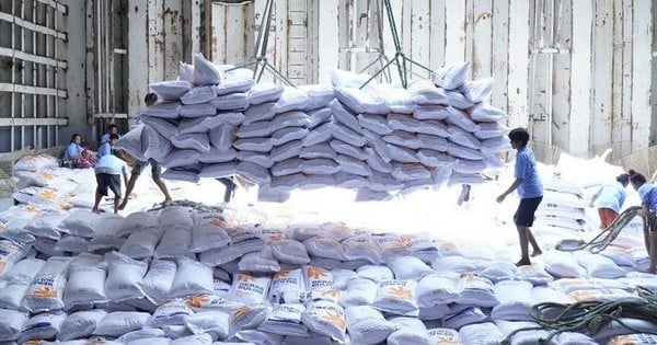  Ảnh hưởng với gạo Việt là có nhưng không quá nghiêm trọng