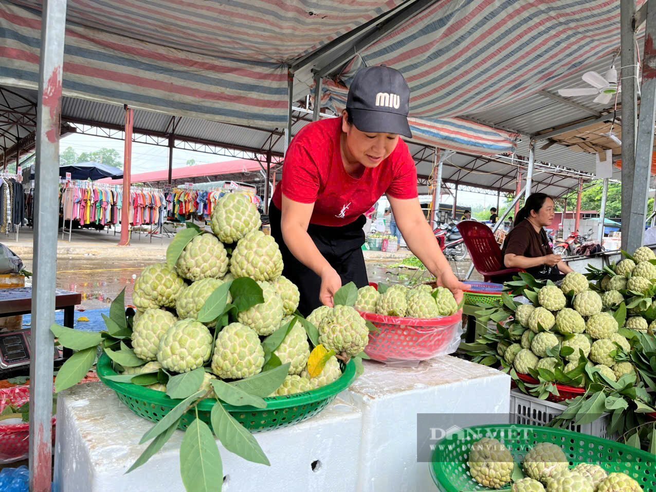  Một tuần nay Chợ nông sản na Chi Lăng luôn tấp nập người mua bán từ sáng đến chiều tối. Ảnh: Hoàng Tính