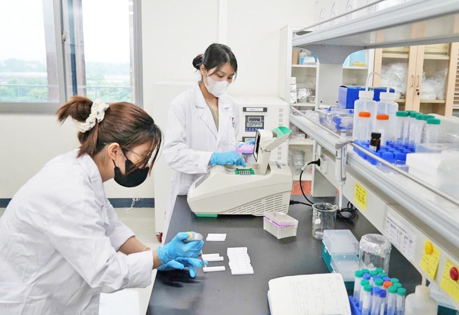  Nghiên cứu khoa học tại Viện Khoa học và Công nghệ Việt Nam - Hàn Quốc. Ảnh: Lê Hạnh