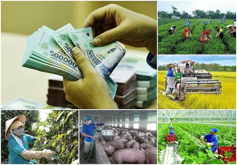  Tháo gỡ khó khăn, vướng mắc khi thực hiện các chương trình mục tiêu quốc gia trong bối cảnh triển khai mô hình chính quyền địa phương 2 cấp.