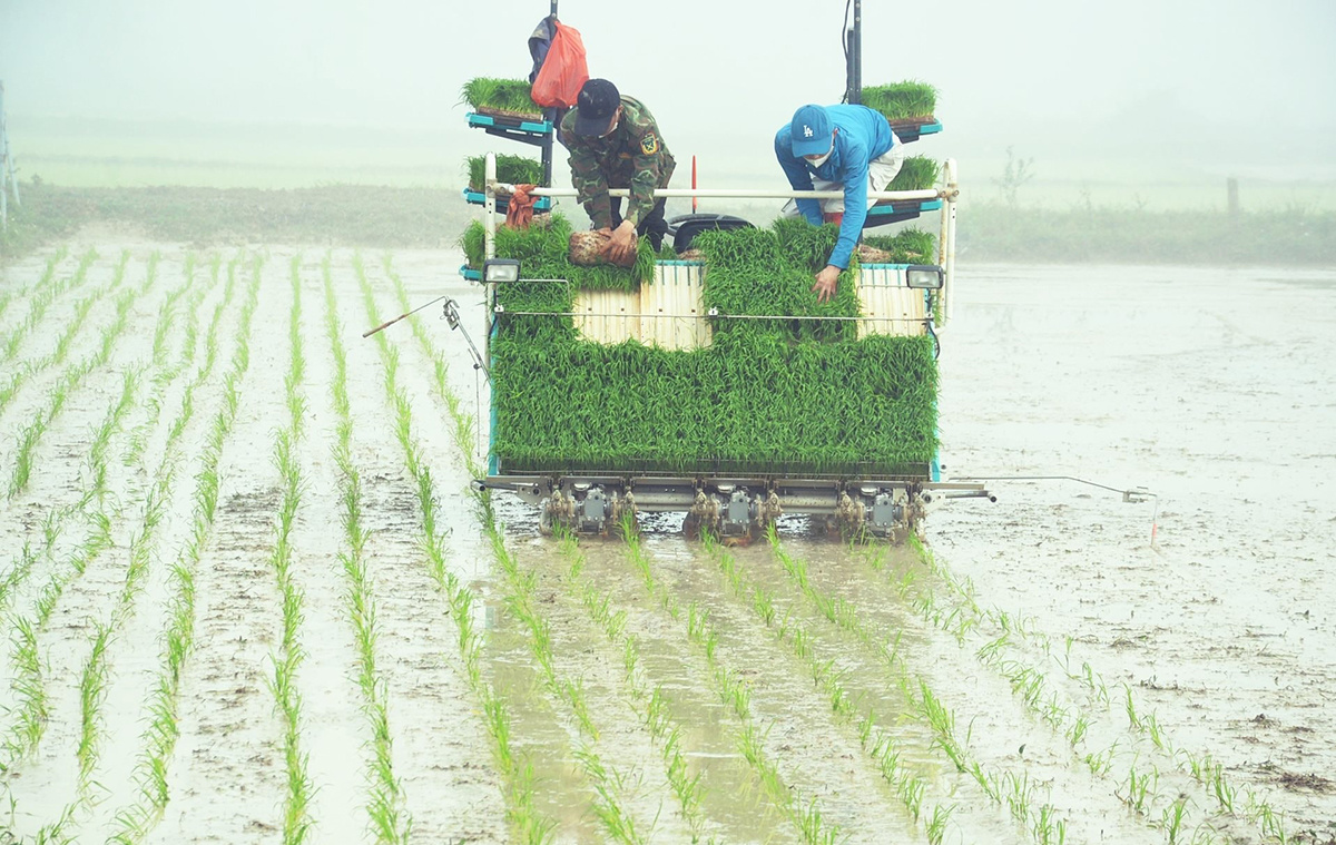 Thành công trong nông nghiệp là 'chìa khóa' xây dựng nông thôn mới (Ảnh: BNA).