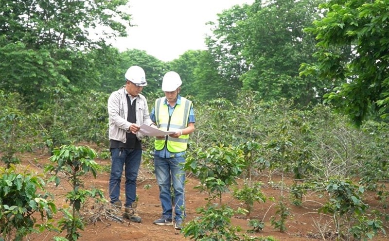 Bổ sung quy định về bồi thường cây trồng, vật nuôi khi Nhà nước thu hồi đất. Ảnh minh họa