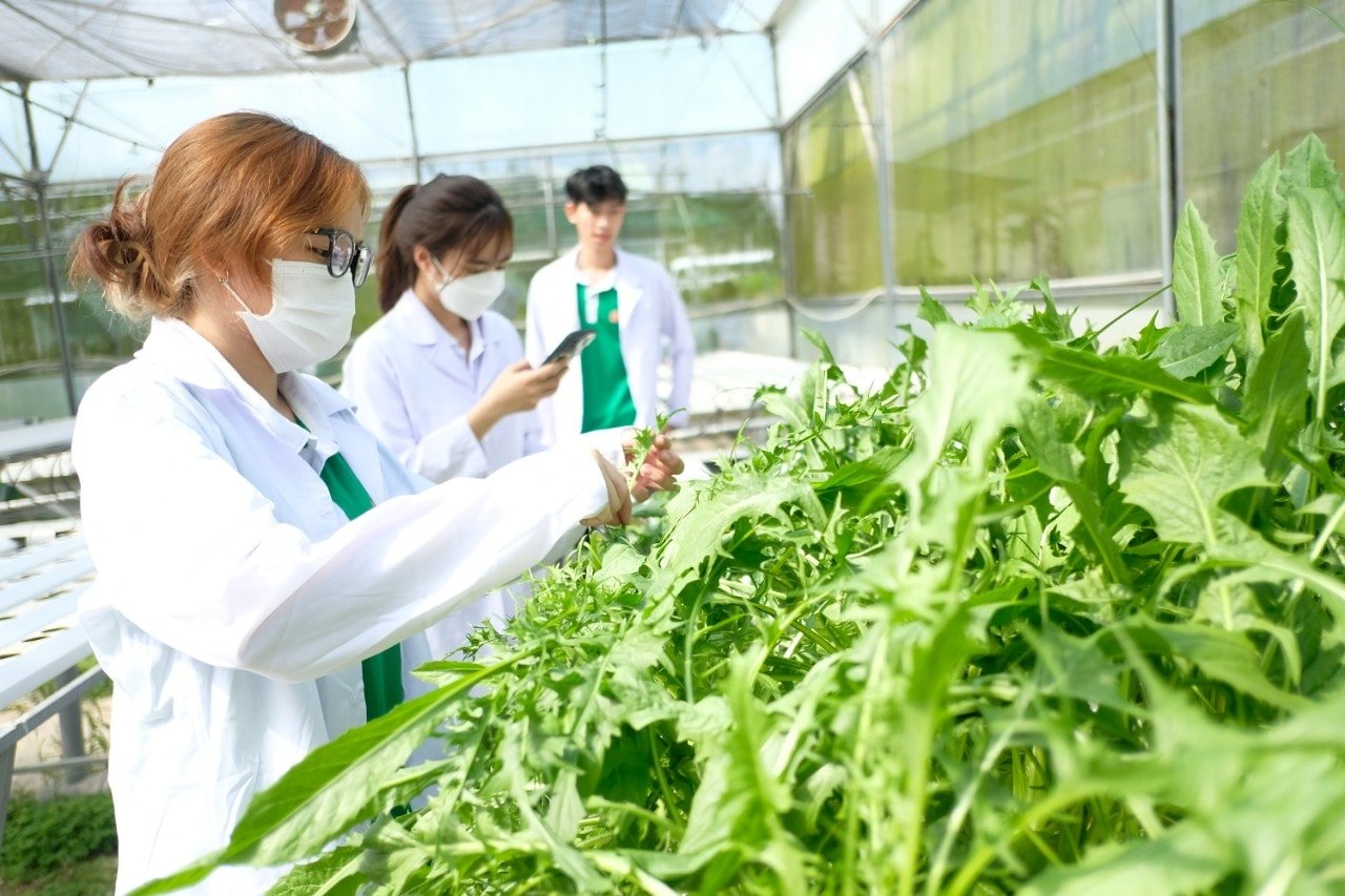 Sinh viên ngành nông nghiệp ở thực nghiệm rau quả - Ảnh: T.L