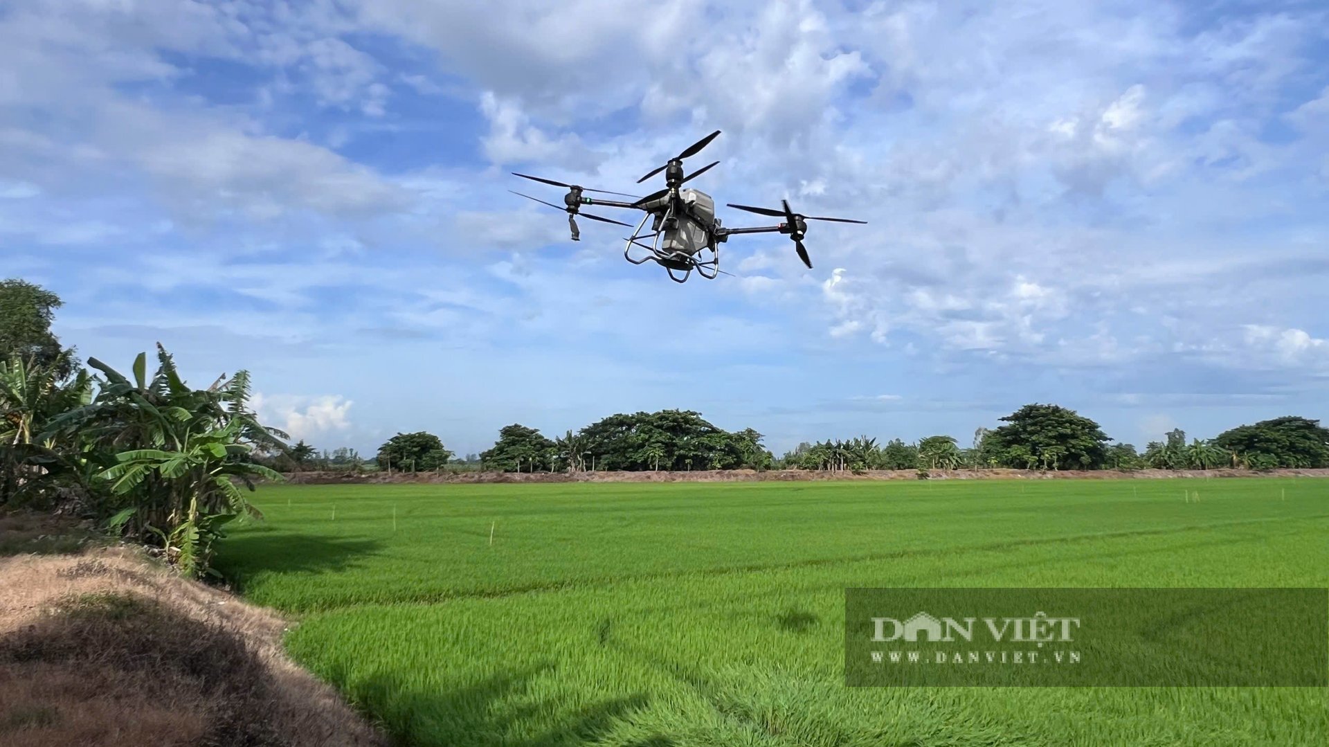 Nông dân phường Mỹ Thới, tỉnh An Giang ứng dụng công nghệ vào sản xuất nông nghiệp, tăng năng suất, nâng cao thu nhập. Ảnh: Hoàng Quân