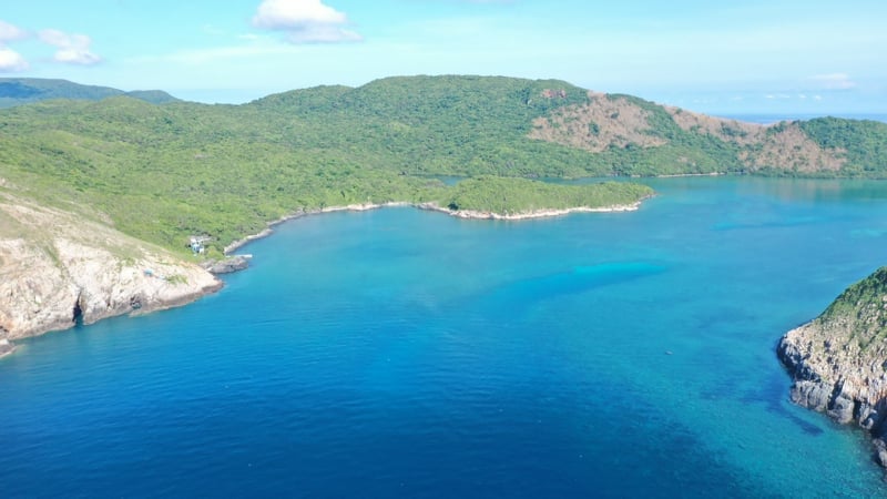 Vịnh biển rộng 132ha đẹp như phim ở Bà Rịa-Vũng Tàu, đi ca rô ra ngắm 'rừng nguyên sinh' mọc toàn loại cây lạ mắt