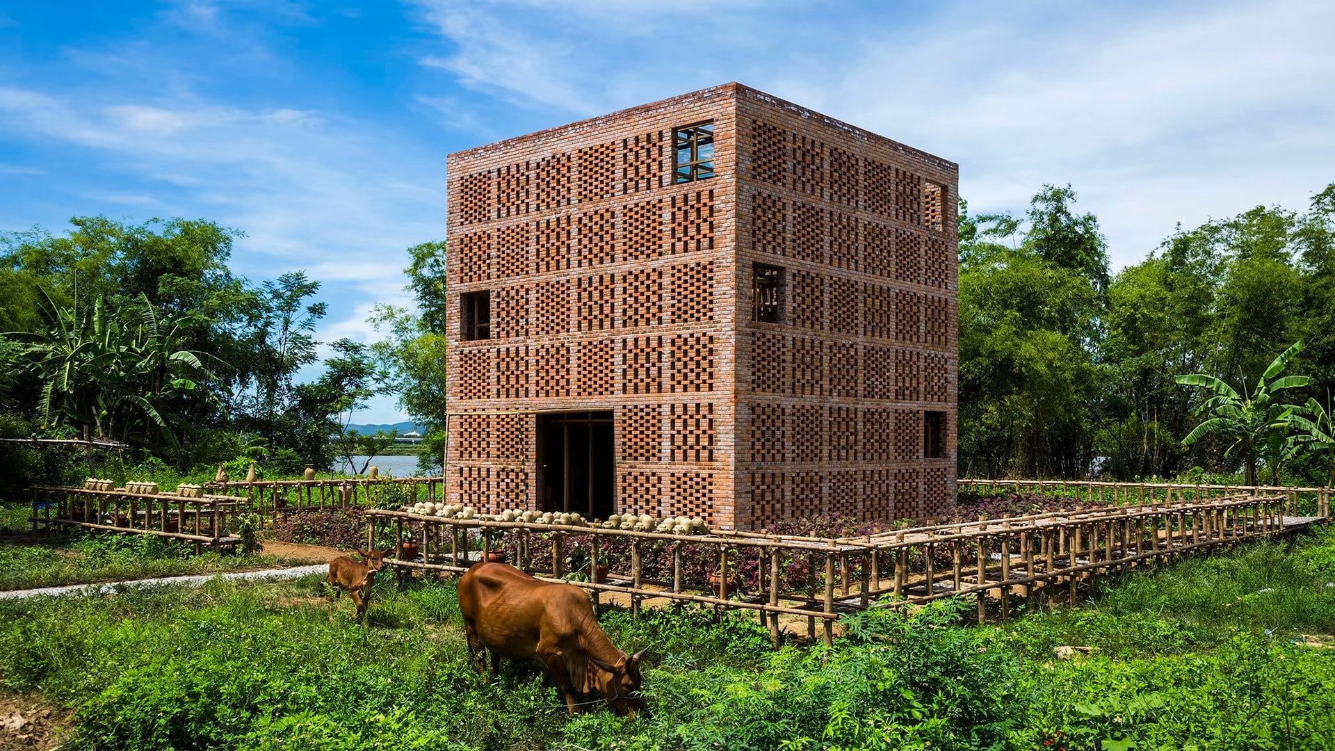 Công trình nhà gạch lỗ - Ảnh: Oki Hiroyuki