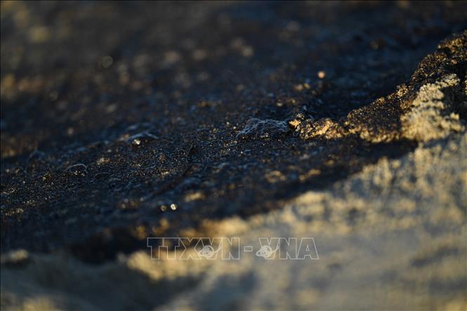 Dầu loang trên bãi biển ở thành phố Huntington Beach, bang California, miền Nam nước Mỹ, ngày 3/10/2021, sau sự cố tràn dầu. Ảnh: AFP/TTXVN