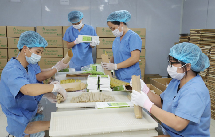 Đóng gói sản phẩm ống hút rau, củ, quả tại Hợp tác xã Dịch vụ nông nghiệp Sông Hồng (huyện Đông Anh). Ảnh: Bình Minh