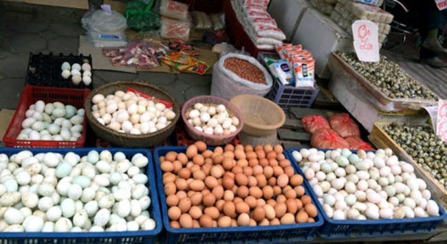 Giá trứng tăng mạnh, do thiếu cung và giá thức ăn chăn nuôi tăng phi mã