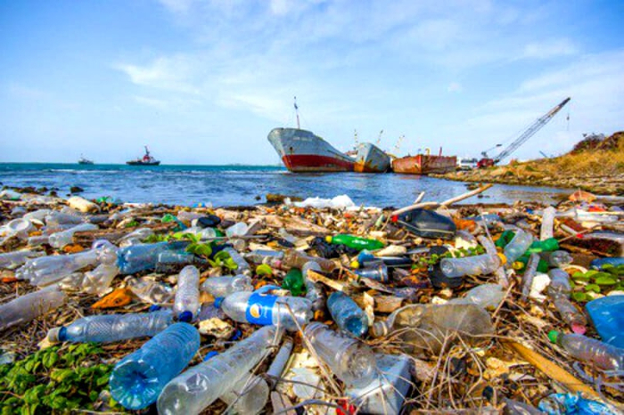 Tổ chức Hợp tác và Phát triển Kinh tế (OECD) cho biết, thế giới bị tàn phá nghiêm trọng bởi ô nhiễm nhựa. Ảnh: tapchimoitruong