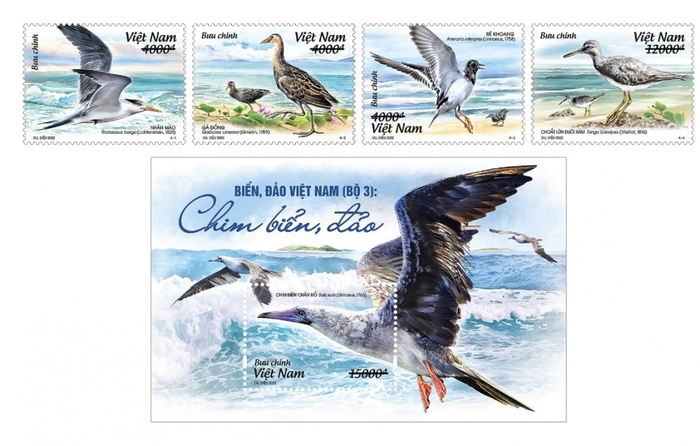 Bộ tem 'Biển, đảo Việt Nam (bộ 3): Chim biển, đảo' gồm 04 mẫu và 01 blốc.