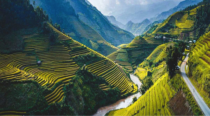 Ruộng lúa bậc thang tại Việt Nam. Việt Nam là quốc gia xuất khẩu gạo lớn thứ năm toàn cầu. Ảnh: Localvietnam.