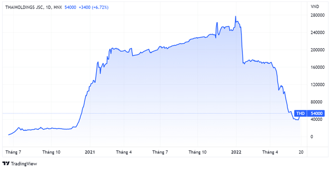 Diễn biến giá THD kể từ khi niêm yết cổ phiếu tháng 6/2020 đến nay. Đồ thị: TradingView.