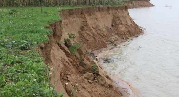 Nhiều diện tích đất nông nghiệp của các hộ dân tại thôn 1, xã Tân Châu bị sạt lở do khai thác đất trái phép