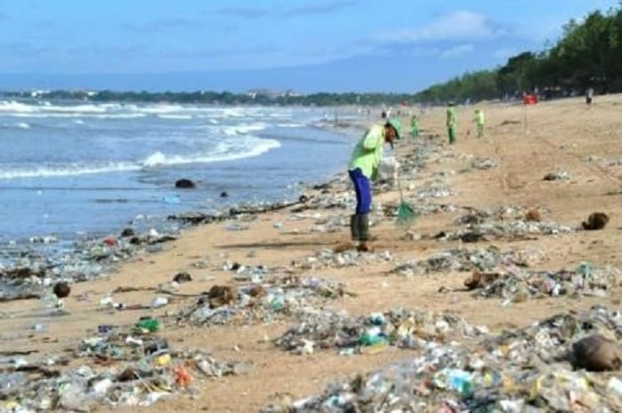 Ô nhiễm môi trường biển do rác thải nhựa đã trở thành vấn đề môi trường toàn cầu. Ảnh: Internet