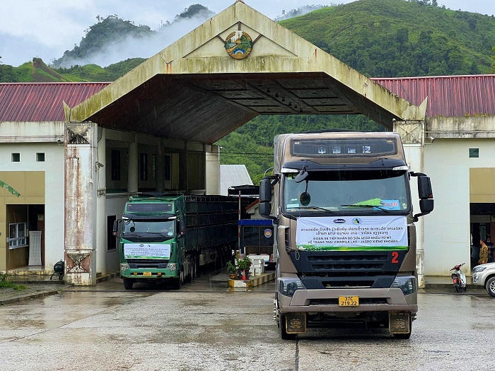 Một nhóm các chuyên gia Vinamilk & Lao-Jagro cũng đã đợi sẵn tại cửa khẩu Nậm Cắn, kiểm tra sức khỏe cho đàn bò, chuẩn bị cho hành trình tiếp theo trên đất Lào.