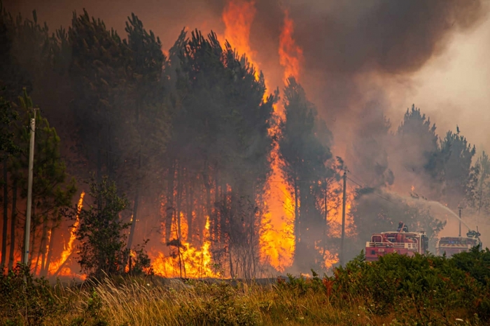 Cháy rừng ở Tây Nam nước Pháp vẫn chưa được khống chế. Ảnh: Le Monde