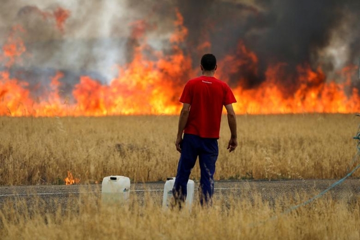 Nhiệt độ tăng cao bất thường ở châu Âu khiến nhiều đám cháy rừng khó kiểm soát. Ảnh: Reuters