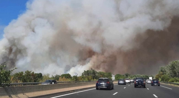Nắng nóng và khô hạn đang gây ra nhiều vụ cháy rừng tại Pháp.