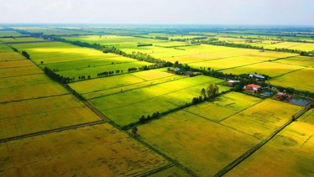 Bộ Tài nguyên và Môi trường đề xuất bổ sung quy định về ngân hàng đất nông nghiệp để thực hiện chức năng tạo lập quỹ đất nông nghiệp.