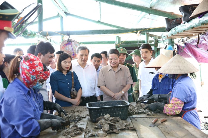 Phó Chủ tịch Quốc hội Nguyễn Đức Hải thăm mô hình nuôi cấy ngọc trai tại Vân Đồn, Quảng Ninh. (Ảnh: Thành Trung)