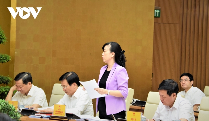 Quyền Bộ trưởng Y tế Đào Hồng Lan báo cáo tại phiên họp