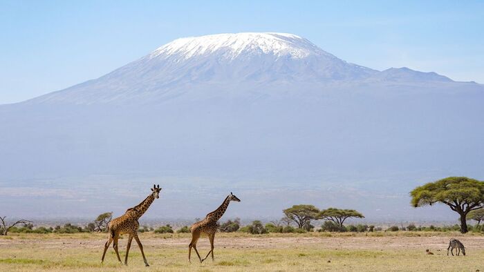 Các sông băng trên núi Kilimanjaro ở Tanzania đang trên đà biến mất trong vài thập kỷ tới, theo báo cáo của UNESCO. Ảnh: CNN