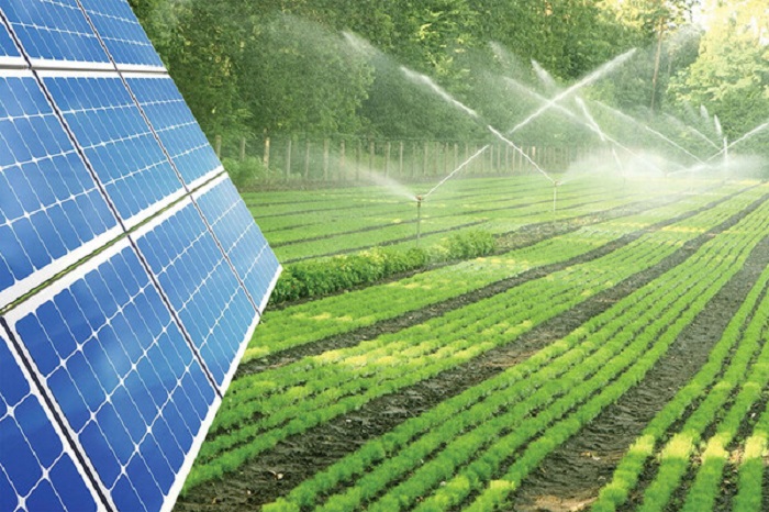 Khoa học công nghệ giúp nông nghiệp phát triển bền vững. Nguồn: ITN
