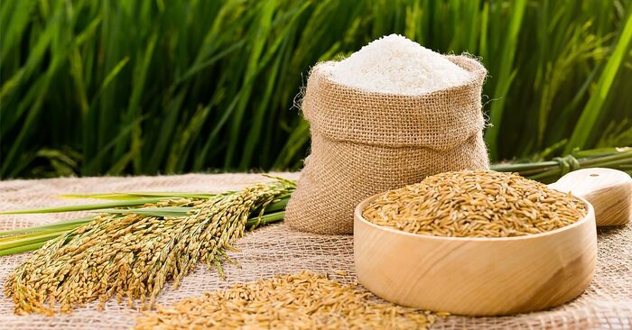 Xuất khẩu gạo lâu nay luôn được coi là ngành kinh tế mũi nhọn.