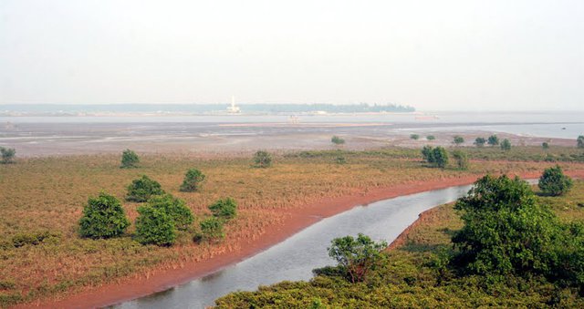 Bộ Tài nguyên và Môi trường đề xuất luật hoá một số quy định liên quan đến chế độ sử dụng đất bãi bồi ven sông, ven biển.