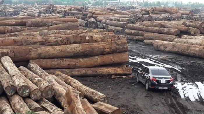 Châu Phi là một trong những thị trường nhập khẩu gỗ chính của Việt Nam. Nguồn: ITN