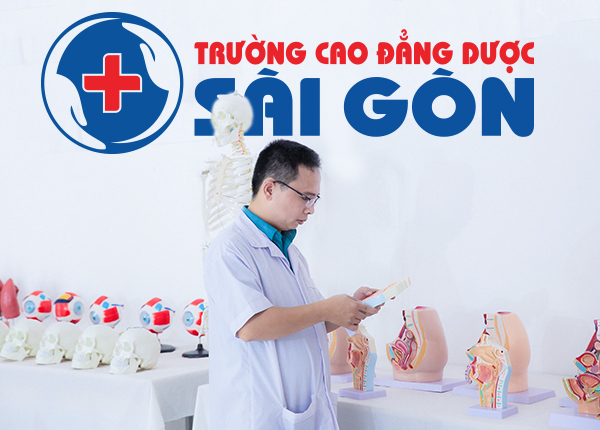 Logo-DSG-29-9