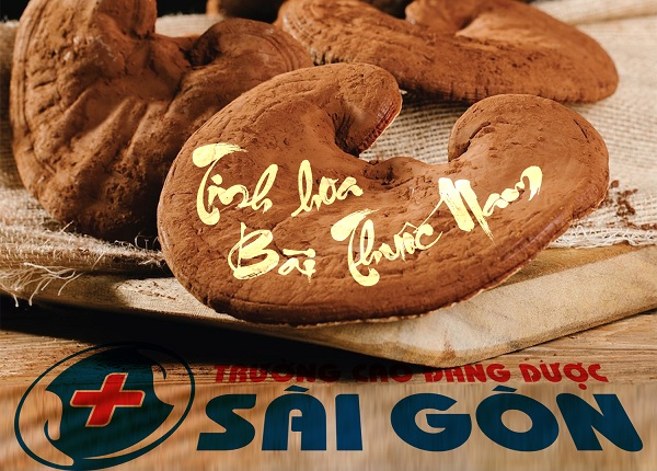 Tinh-hoa-bai-thuoc-nam-truong-cao-dang-duoc-sai-gon