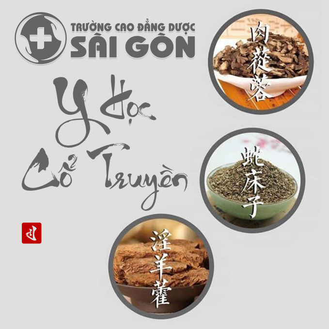 Truong-cao-dang-duoc-sai-gon-34