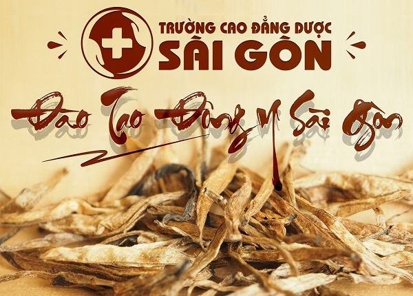 Truong-cao-dang-duoc-sai-gon-dao-tao-dong-y-sai-gon