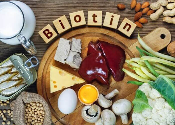 Vitamin B7 là một vitamin rất cần thiết trong quá trình trao đổi chất cho cơ thể