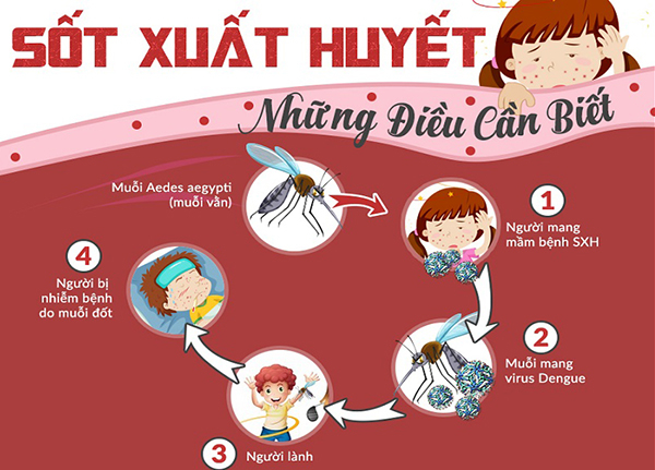 Virus truyền từ người bệnh sang người lành qua muỗi đốt