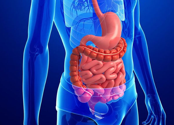 Các bệnh lý về đường tiêu hóa này không loại trừ một ai