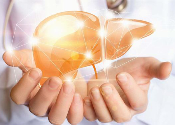 Men gan là một loại enzyme nằm trong tế bào gan
