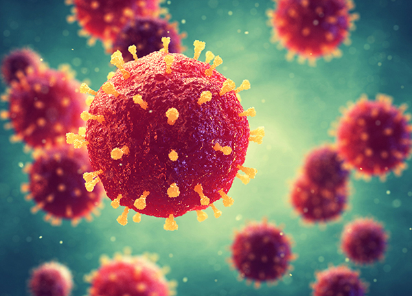 Bệnh Rubella bị gây ra bởi một loại virus cùng tên có chứa ARN