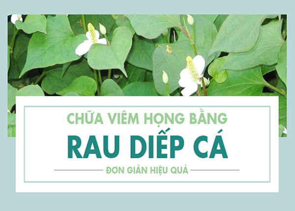 chua-viem-hong-bang-rau-diep-ca