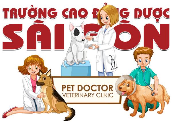 Hoc-Cao-dang-nganh-Thu-Y-co-duoc-cap-Chung-chi-hanh-nghe-khong-01