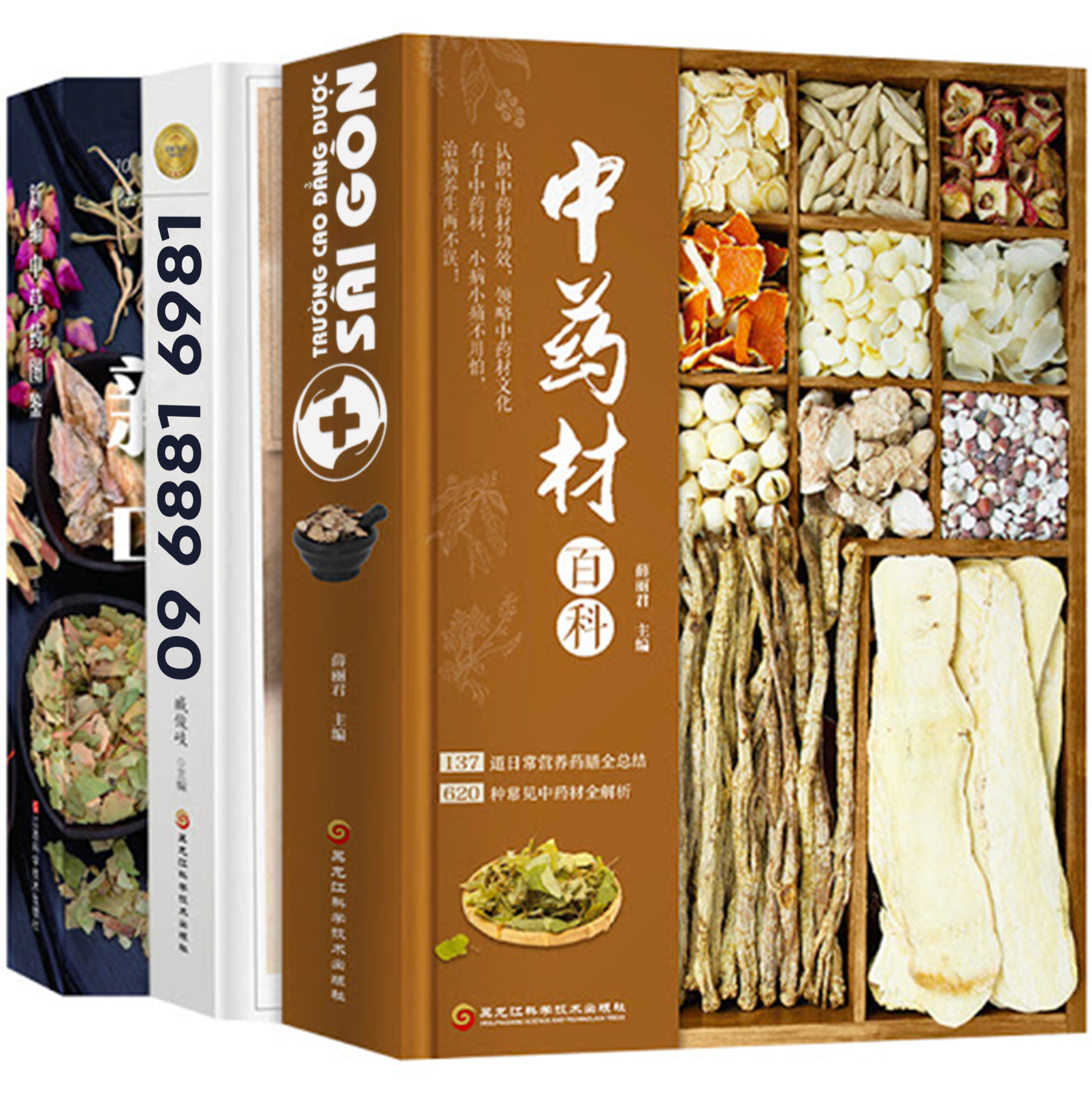 Trường Cao đẳng Dược Sài Gòn hướng dẫn phương thuốc thanh nhiệt