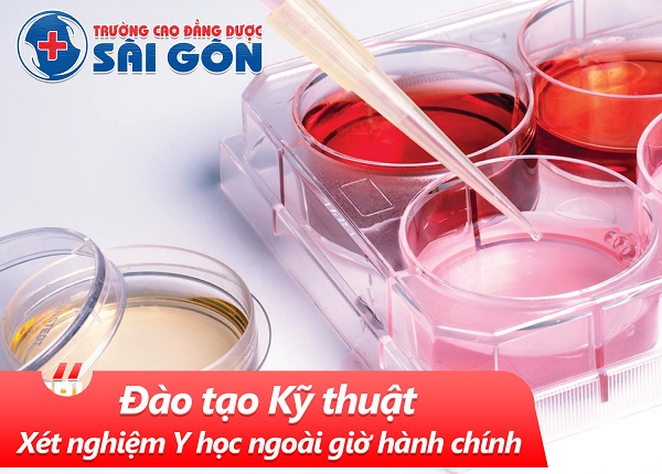 Trường Cao đẳng Dược Sài Gòn đào tạo Cao đẳng Kỹ thuật Xét nghiệm Y học Sài Gòn Trường Cao đẳng Dược Sài Gòn đào tạo Cao đẳng Kỹ thuật Xét nghiệm Y học Sài Gòn