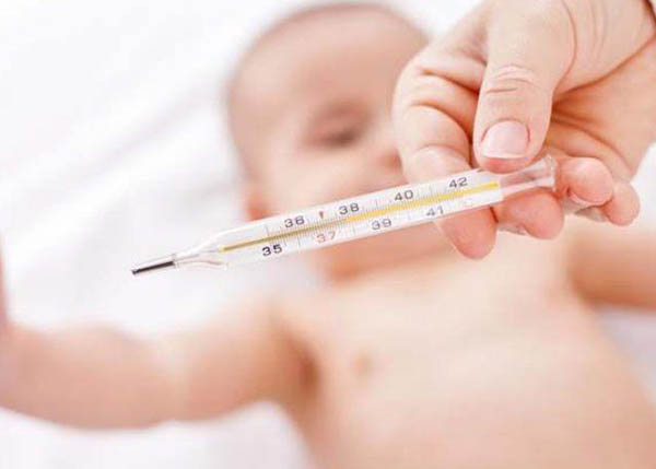Mắc bệnh sốt phát ban Mắc bệnh sốt phát ban